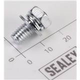 Sealey RS125.V4-14.3 - Screws