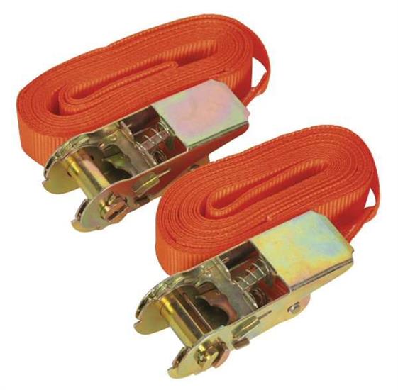 Sealey TD05045E - Self-Securing Ratchet Tie Down 25mm x 4.5mtr 500kg Load Test - Pair
