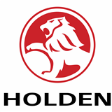 <h2>Holden Alternators</h2>
