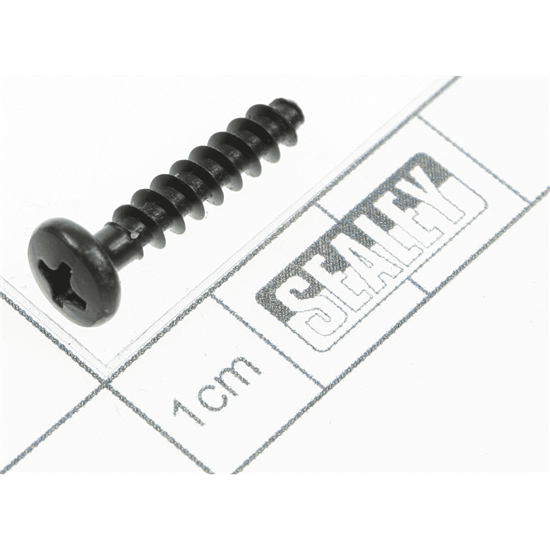 Sealey Cp5418v.01 - Selt Tapping Screw (St4.2x20)