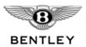 <h2>Bentley Dynators</h2>