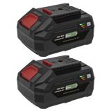 Sealey BK04 - Power Tool Battery Pack 20V 4Ah Kit for SV20V Series