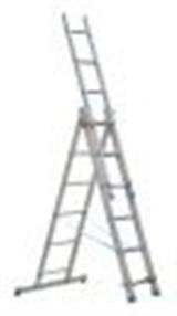 <h2>Extension Ladders</h2>