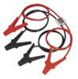 <h2>Surge Protected Booster Cables</h2>